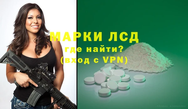 шишки Осташков