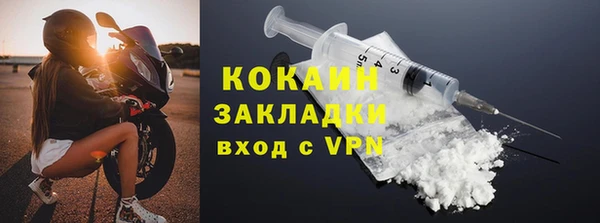 шишки Осташков