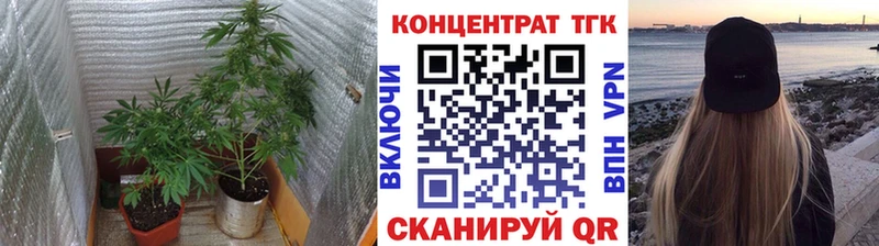 цена   Черепаново  ТГК концентрат 