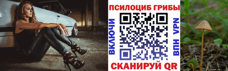 KRAKEN ссылки Черепаново Галлюциногенные грибы Psilocybe купить закладку